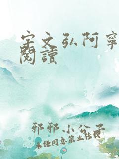 宇文弘阿宁全文阅读