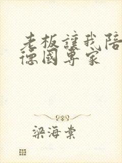 老板让我陪两个德国专家