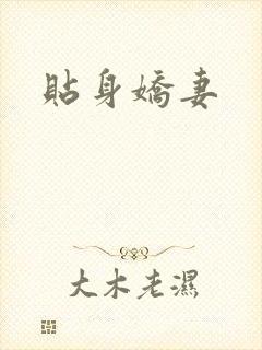 贴身娇妻