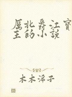 厉北爵江宝宝男主的小说