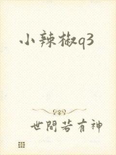 小辣椒q3
