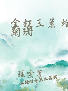 金枝玉叶 灯火阑珊