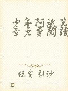 少年阿斌第13章免费阅读