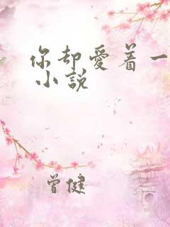 你却爱着一个他 小说