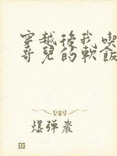 穿越后我吃到了哥儿的软饭炉山灰