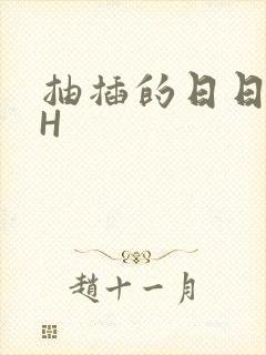 抽插的日日液液H