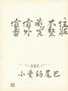 偷偷藏不住新婚番外完整版