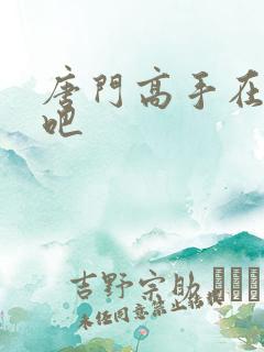 唐门高手在异世吧