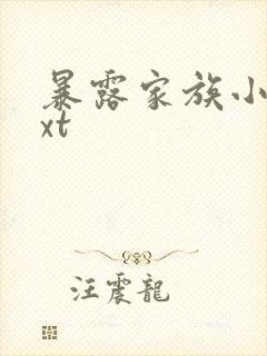 暴露家族小说txt