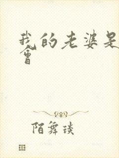 我的老婆是黑社会