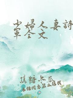 少妇人妻诗雨小军全文
