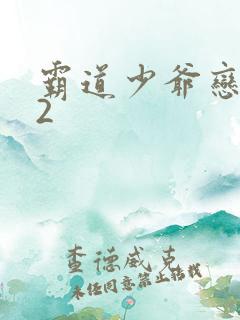 霸道少爷恋上我2