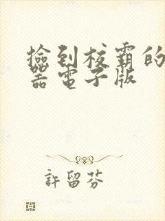 捡到校霸的遥控器电子版