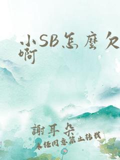 小SB怎么欠C啊