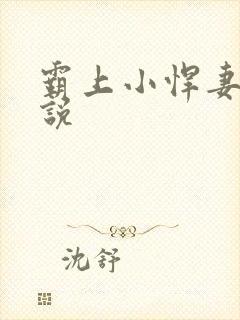 霸上小悍妻 小说