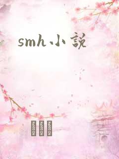 smh小说