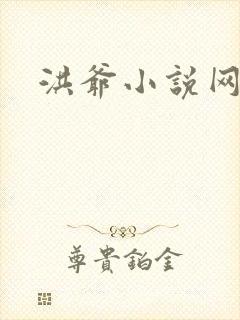 洪爷小说网