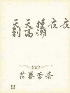 天天摸夜夜摸摸到高潮