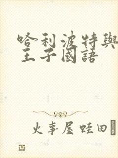 哈利波特与混血王子国语