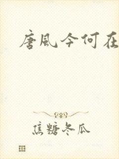 唐风今何在