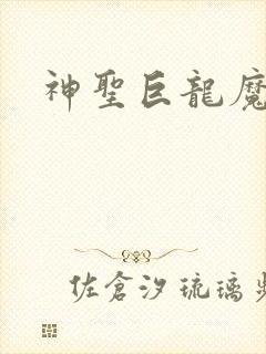 神圣巨龙魔法师
