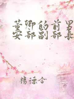 董卿的前男友公安部副部长