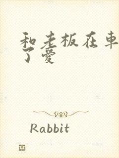 和老板在车里做了爱