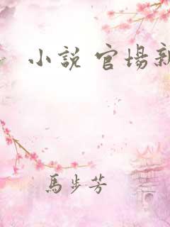 小说 官场新贵