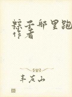 粽子哪里跑小说作者