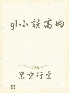gl小说高肉