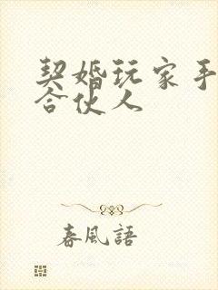 契婚玩家手册之合伙人