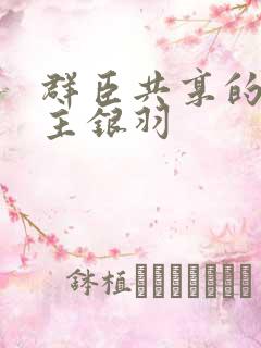 群臣共享的小公主银羽