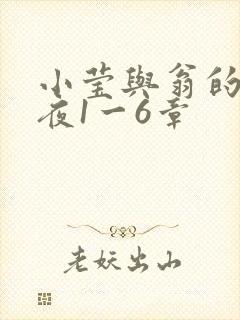 小莹与翁的销魂夜1一6章