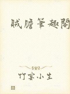 贼胆笔趣阁