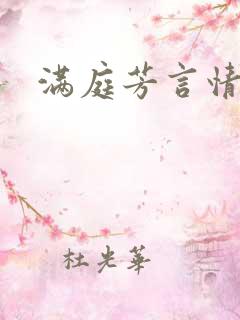 满庭芳言情小说