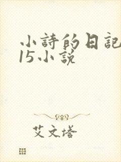 小诗的日记1一15小说