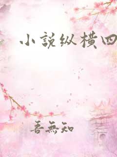 小说纵横四海