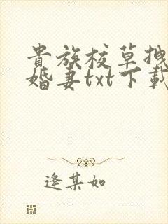 贵族校草拽拽未婚妻txt下载