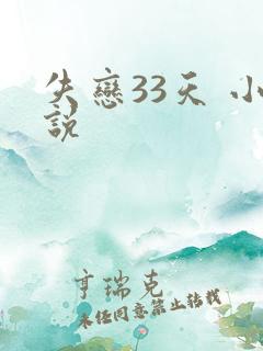 失恋33天 小说