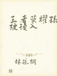 王者荣耀孙尚香被后入