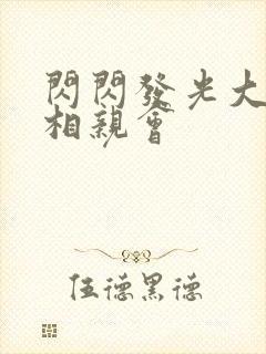 闪闪发光大团圆相亲会