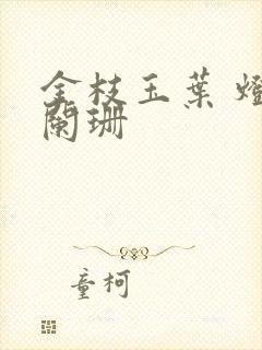 金枝玉叶 灯火阑珊