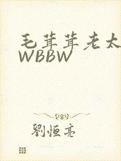 毛茸茸老太BBWBBW