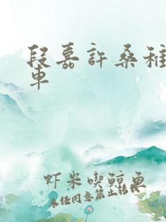 段嘉许桑稚浴室车