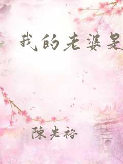 我的老婆是卧底