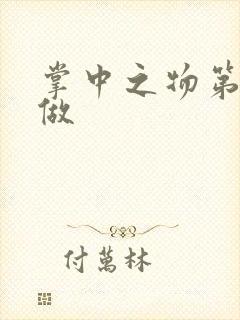 掌中之物第一次做