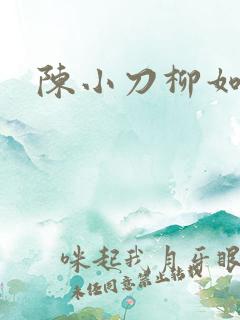 陈小刀柳如意