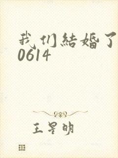 我们结婚了130614