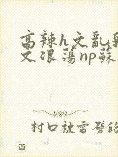 高辣h文乱乳h文浪荡np苏夏