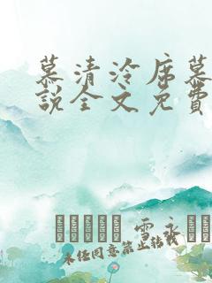 慕清泠席慕深小说全文免费阅读